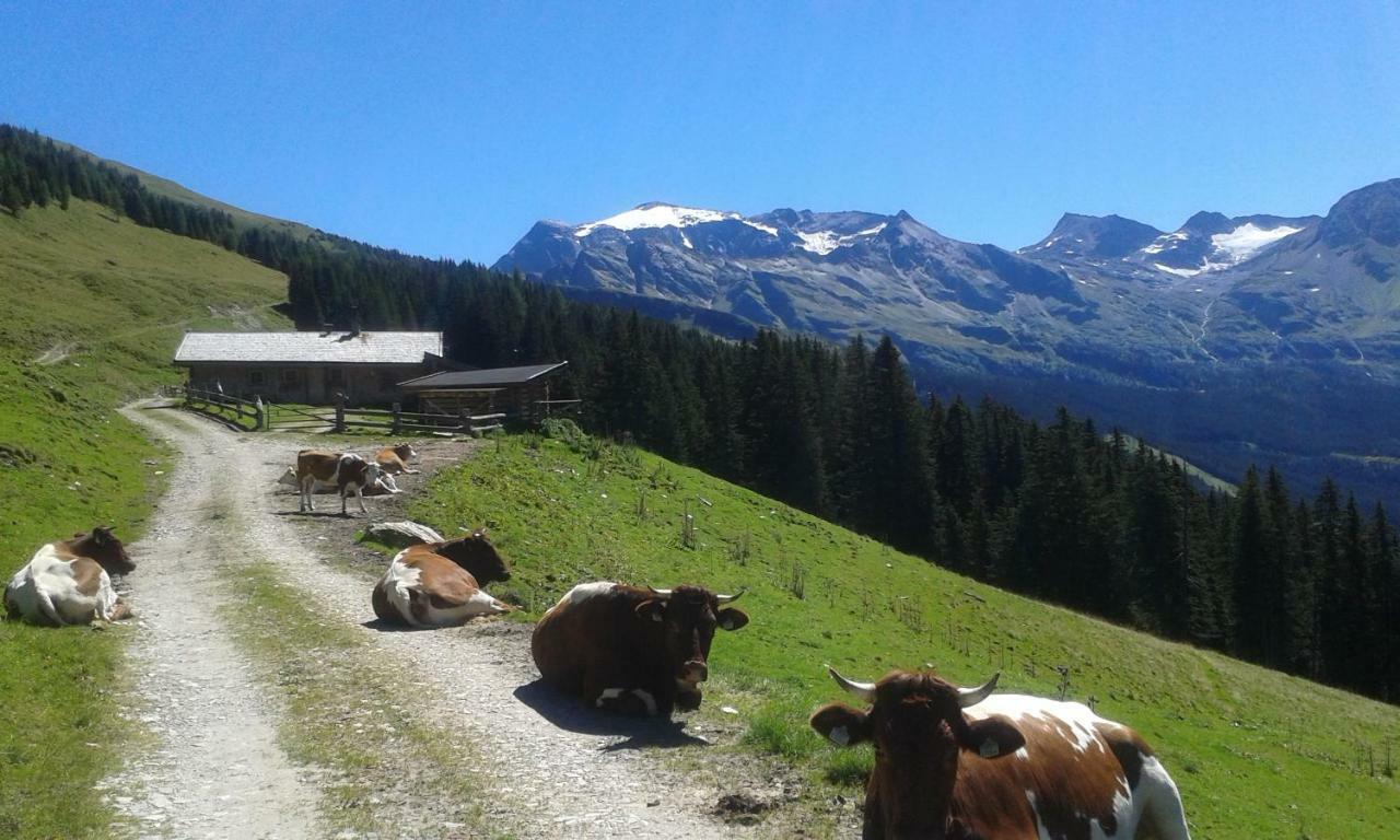 Fruehstuecks- Pension Sonnblickhof Rauris Dış mekan fotoğraf