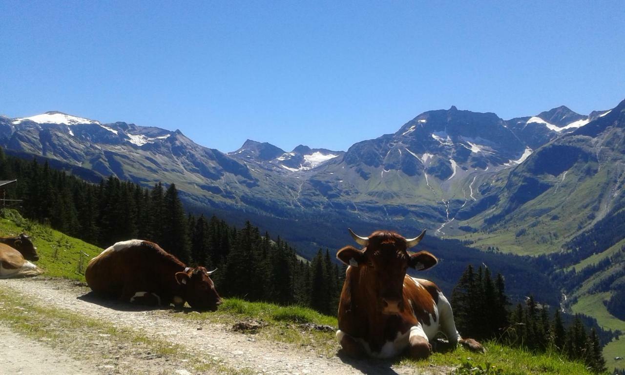 Fruehstuecks- Pension Sonnblickhof Rauris Dış mekan fotoğraf